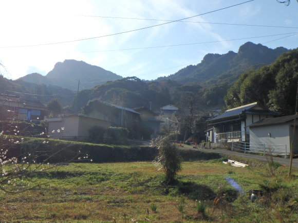 d0198313_22534315.jpg