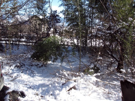 e0072513_09041199.jpg