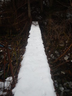 c0359615_21271276.jpg