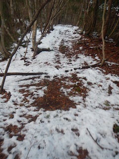 c0359615_21272050.jpg