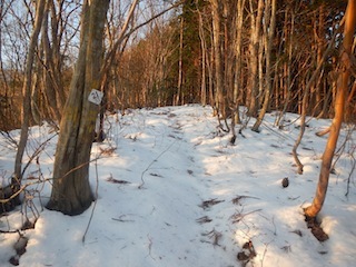 c0359615_21273431.jpg