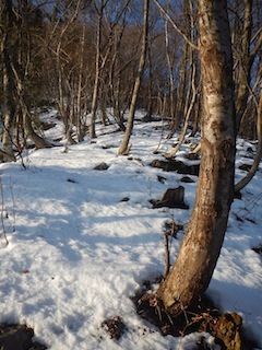 c0359615_21280066.jpg