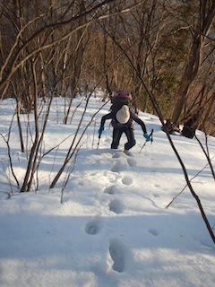 c0359615_21280786.jpg