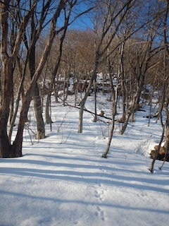 c0359615_21282105.jpg