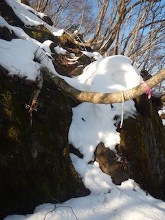 c0359615_21282690.jpg