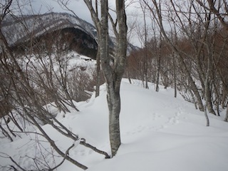 c0359615_21285123.jpg