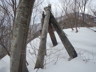 c0359615_21290647.jpg
