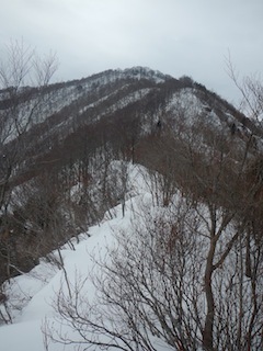c0359615_21292538.jpg