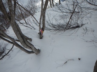 c0359615_21294301.jpg