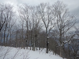 c0359615_21301275.jpg