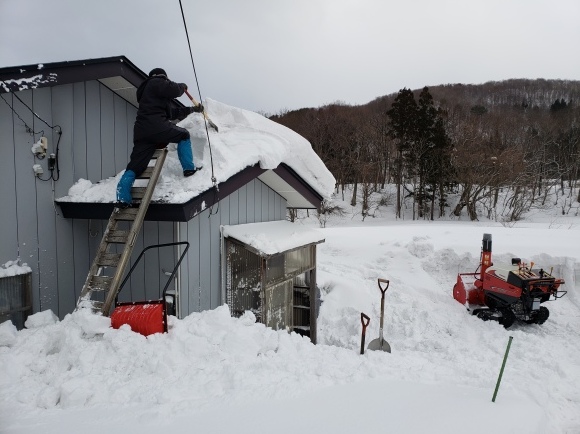 No.863  ２回目の除雪ボランティア(平成31年2月4日)_d0189515_06112902.jpg