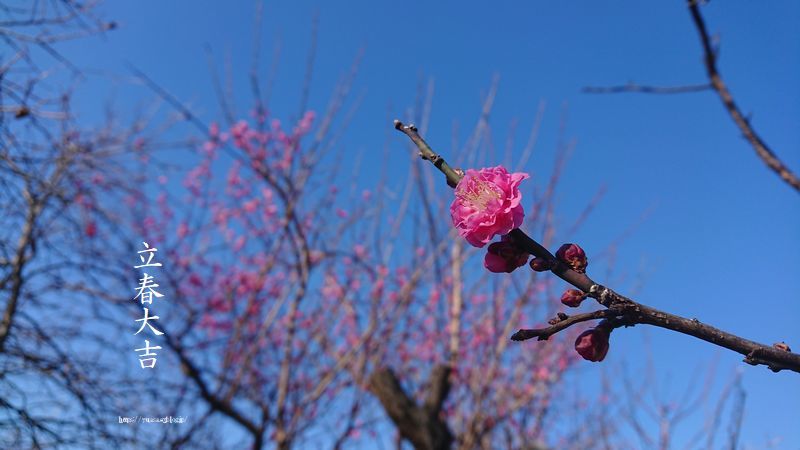 立春大吉(*´▽`*)♪_f0156117_16143948.jpg