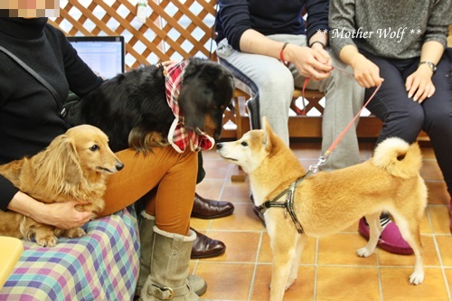 オープンハウス♪ ~ 2019年新年会~_e0191026_19310578.jpg