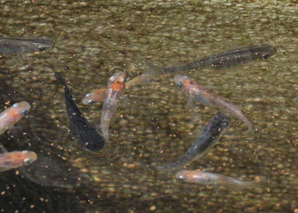 春一番?食欲も一番!_e0097534_18291435.jpg