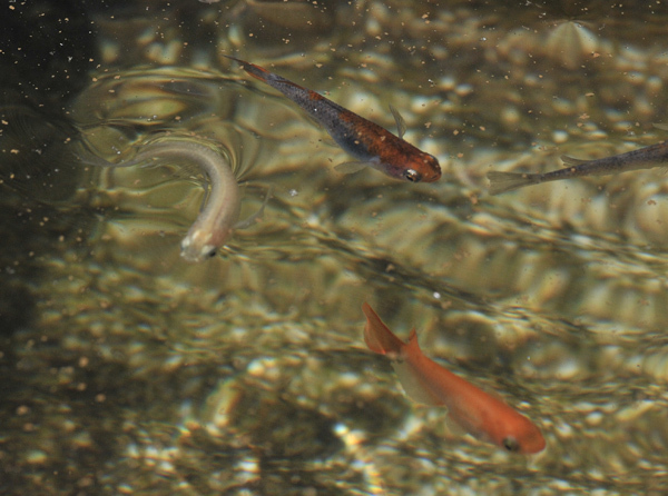 春一番?食欲も一番!_e0097534_18310467.jpg