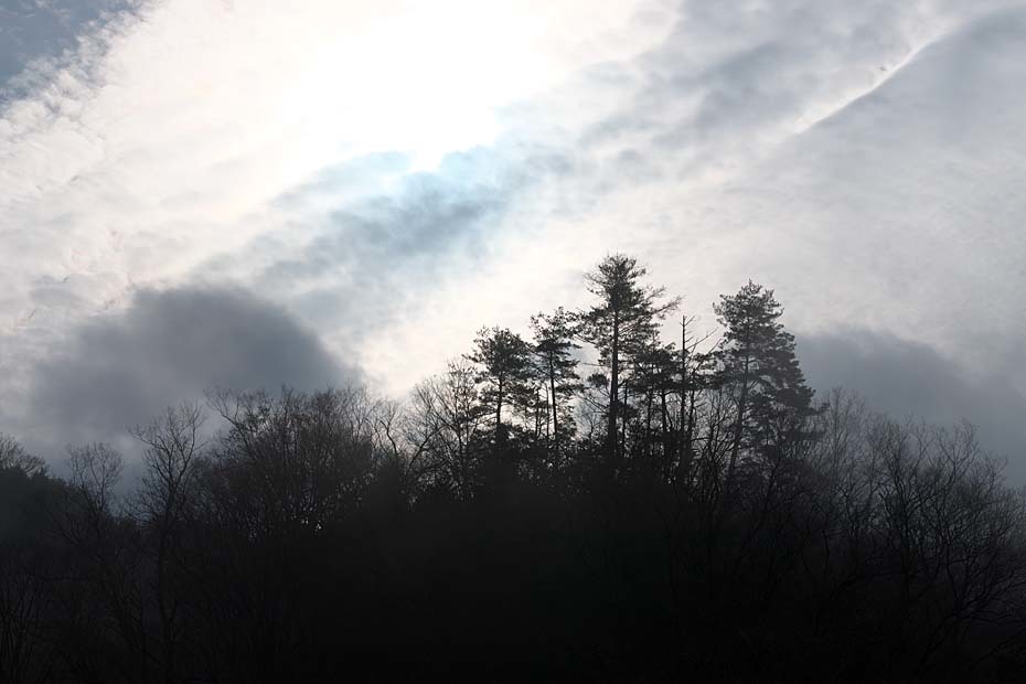 c0067040_21162739.jpg