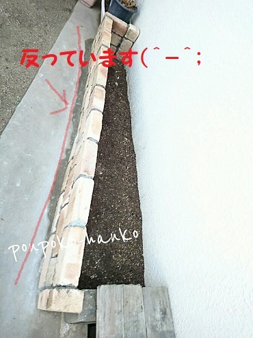 f0128146_19462502.jpg