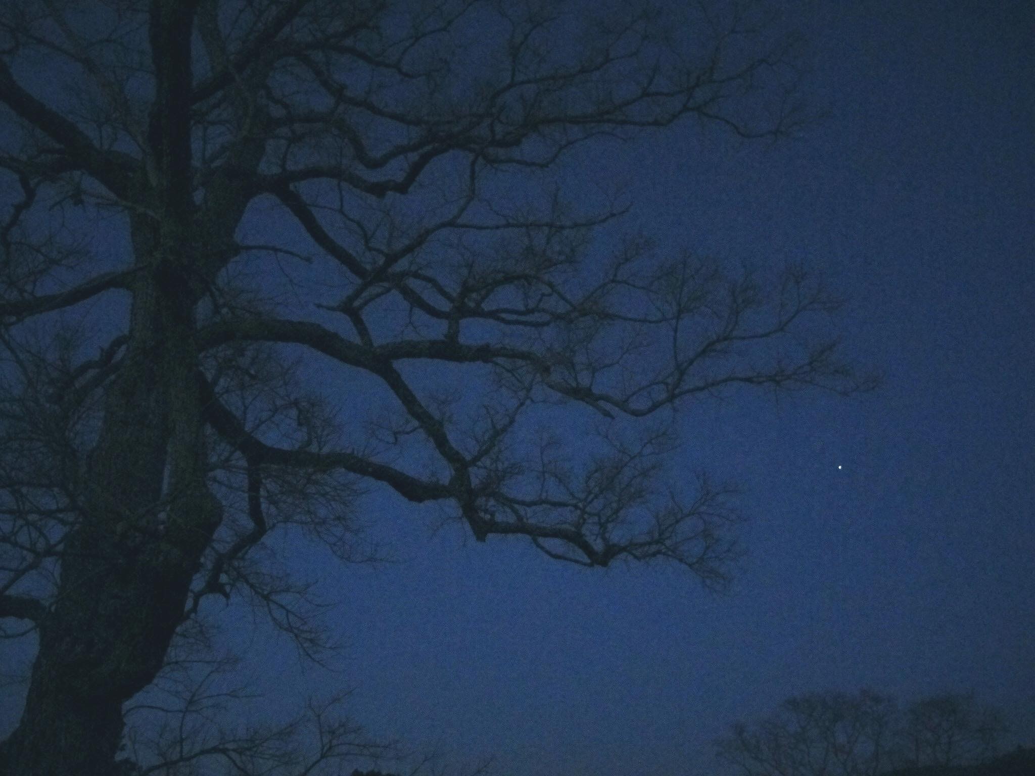 わたしの心象の風景 萬葉集から_f0389753_18115498.jpeg