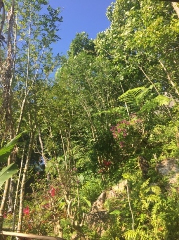 f0367954_12184032.jpeg