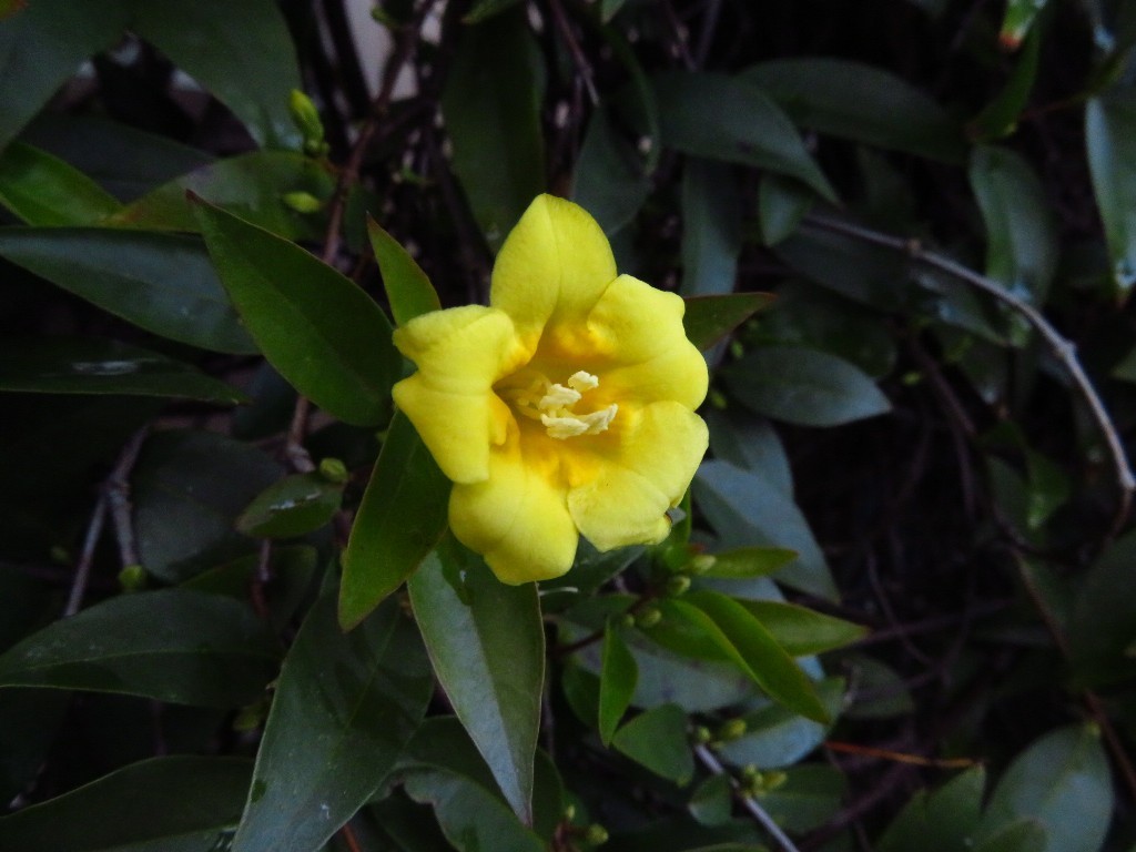 a0018655_09482056.jpg