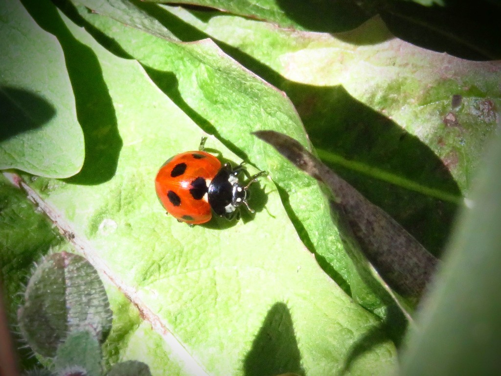 a0018655_09482071.jpg