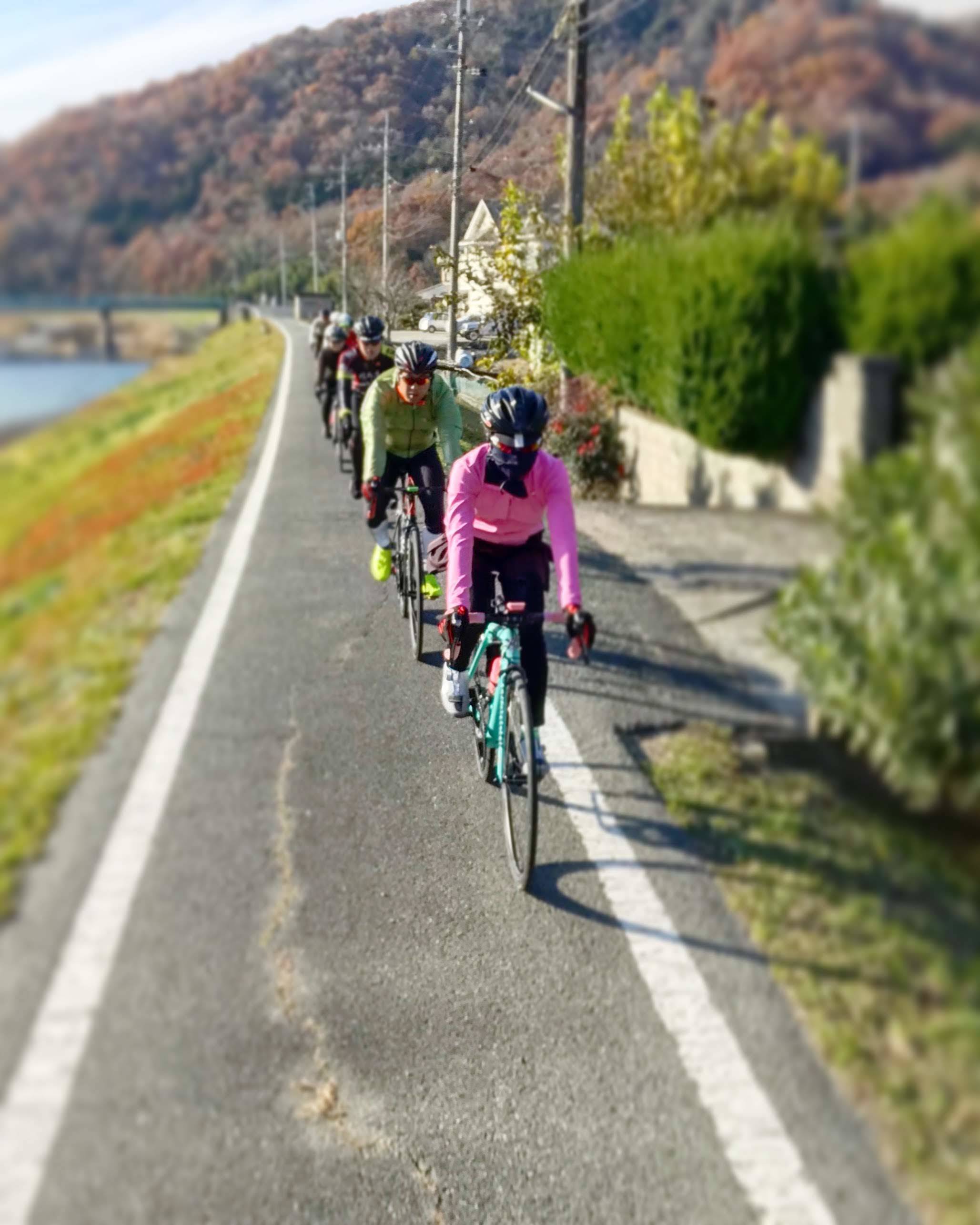狭い道も走れて駐車場も要らない自由 自転車コギコギ日記