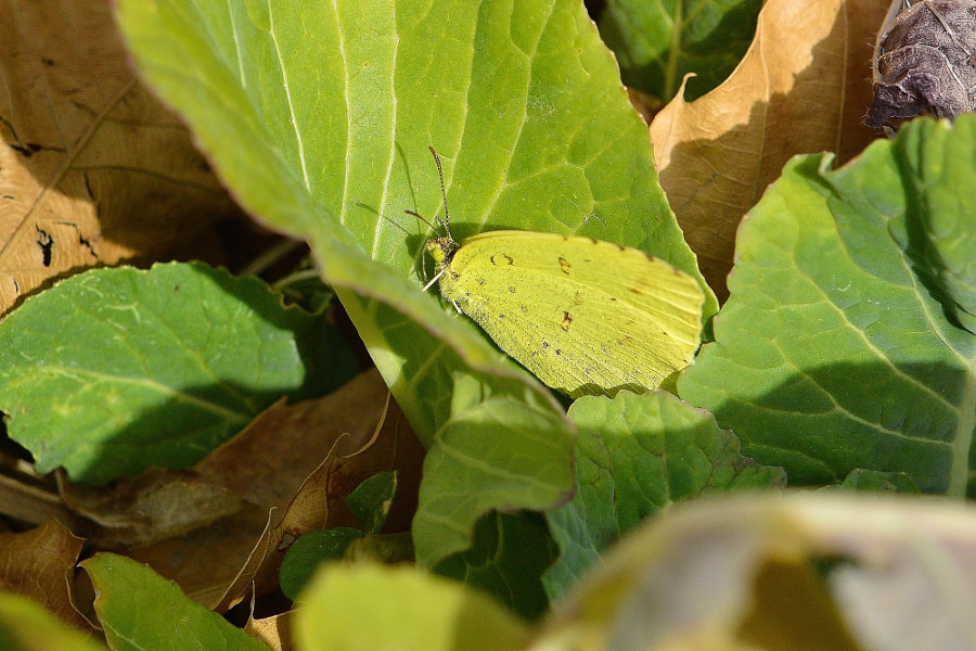 d0387460_00062225.jpg