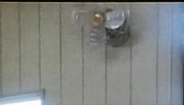 a0126268_00583958.jpeg