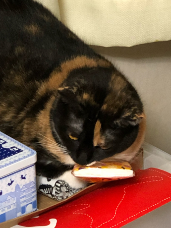ひきこもりの休日_e0355177_18014971.jpg