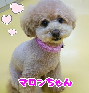 ボールゲット!_f0357682_20090526.jpg