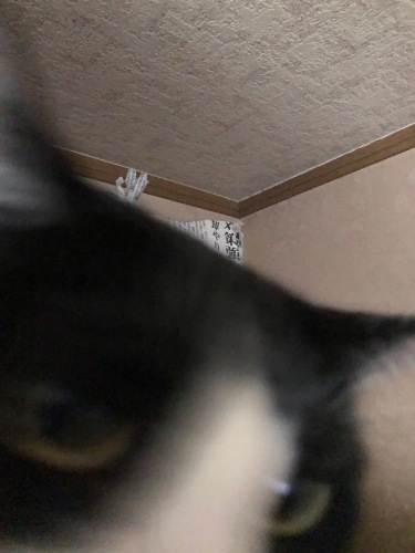 a0216583_23283700.jpeg