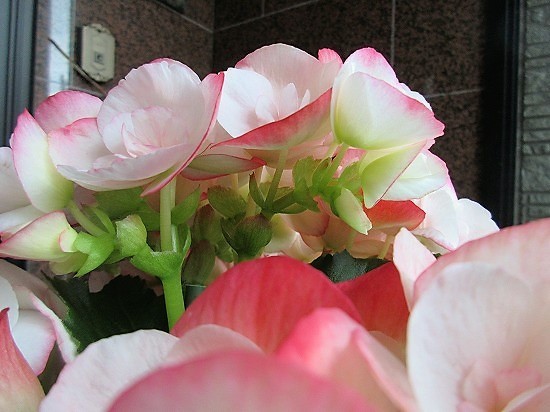 b0182884_23462472.jpg