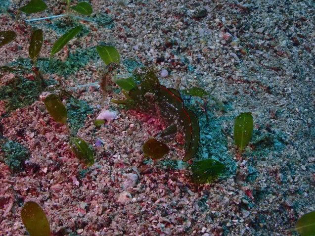 e0115199_13211557.jpg
