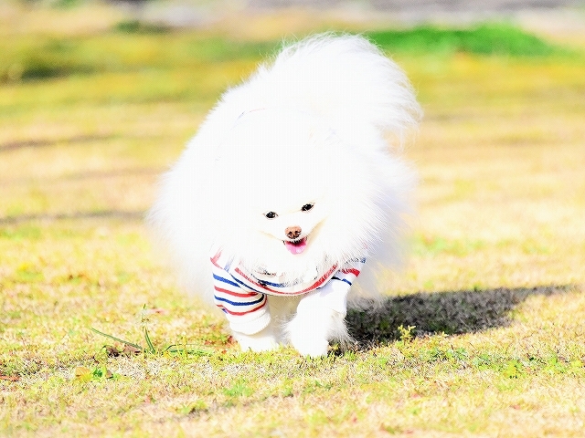 分けてあげて欲しいもの_d0360206_02104488.jpg