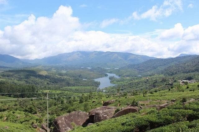 b0064411_07311461.jpg