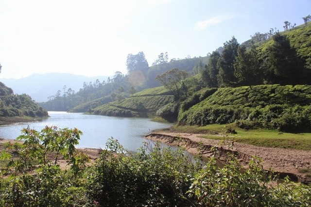 b0064411_07341765.jpg