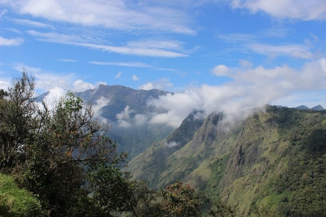 b0064411_08113400.jpg