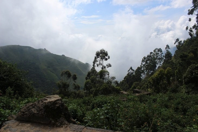 b0064411_08113481.jpg