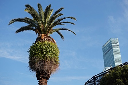 a0151913_2130130.jpg