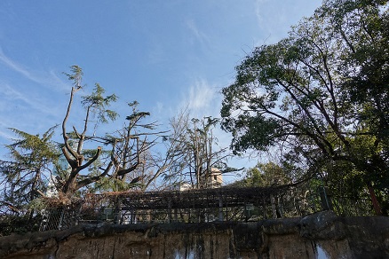 a0151913_22145588.jpg