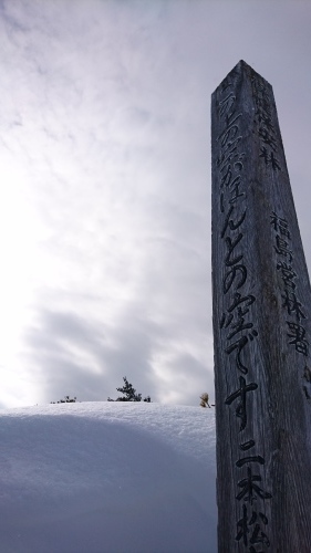 a0236914_17033456.jpg