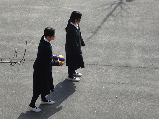 e0251420_14164922.jpg