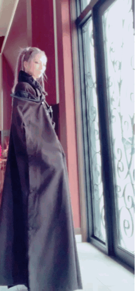 f0163223_09125094.gif