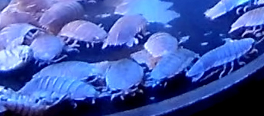 a0056140_15165655.jpg
