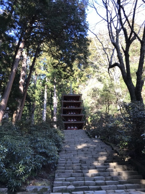 己亥の年、2019年とは?_b0221143_11225761.jpg