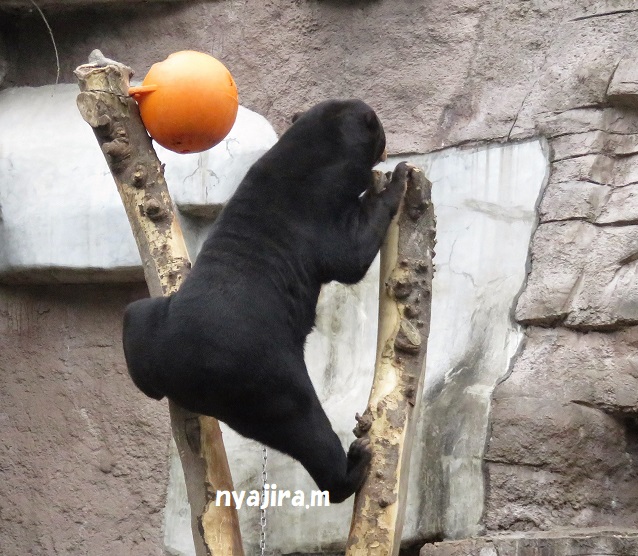 また日付、遡りマーサ 1月10日(木)_f0002743_142757.jpg