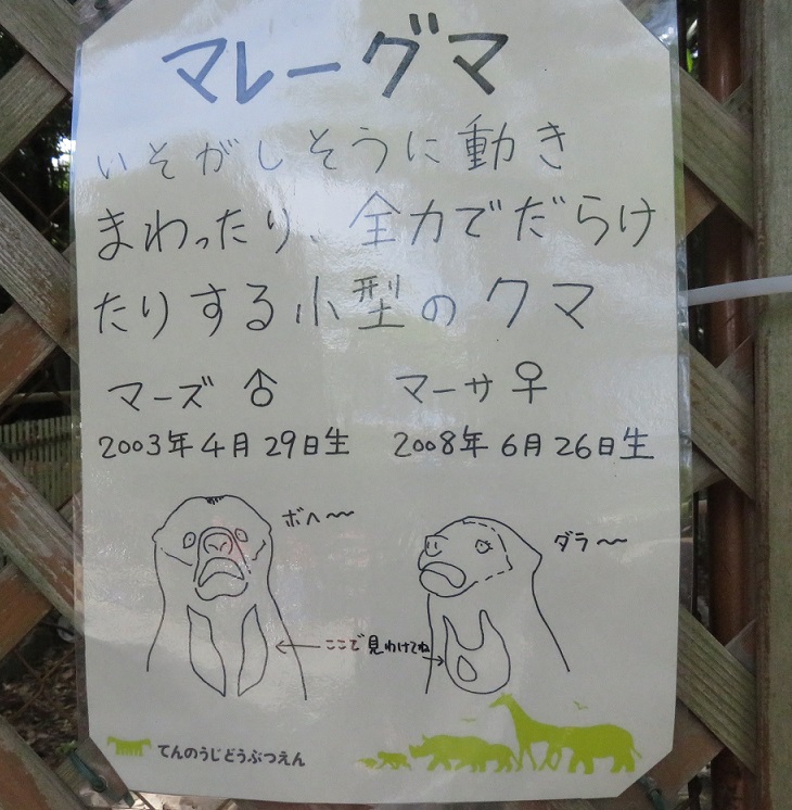 また日付、遡りマーサ 1月10日(木)_f0002743_14494922.jpg