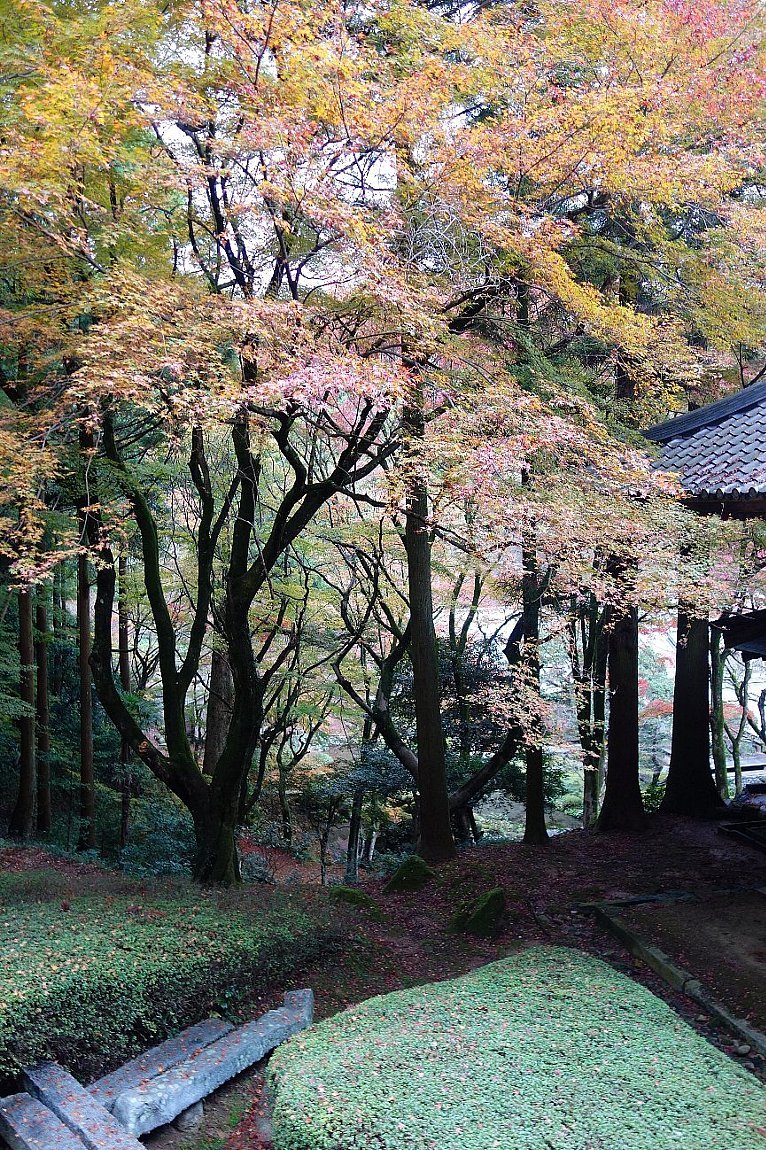 雷山千如寺大悲王院（その２）_c0112559_08280072.jpg