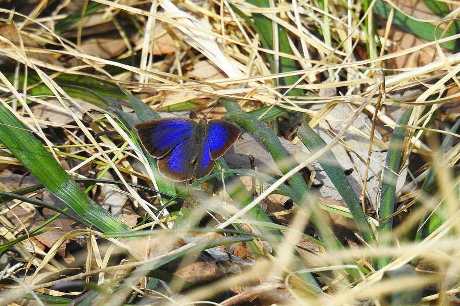 d0387460_00102580.jpg