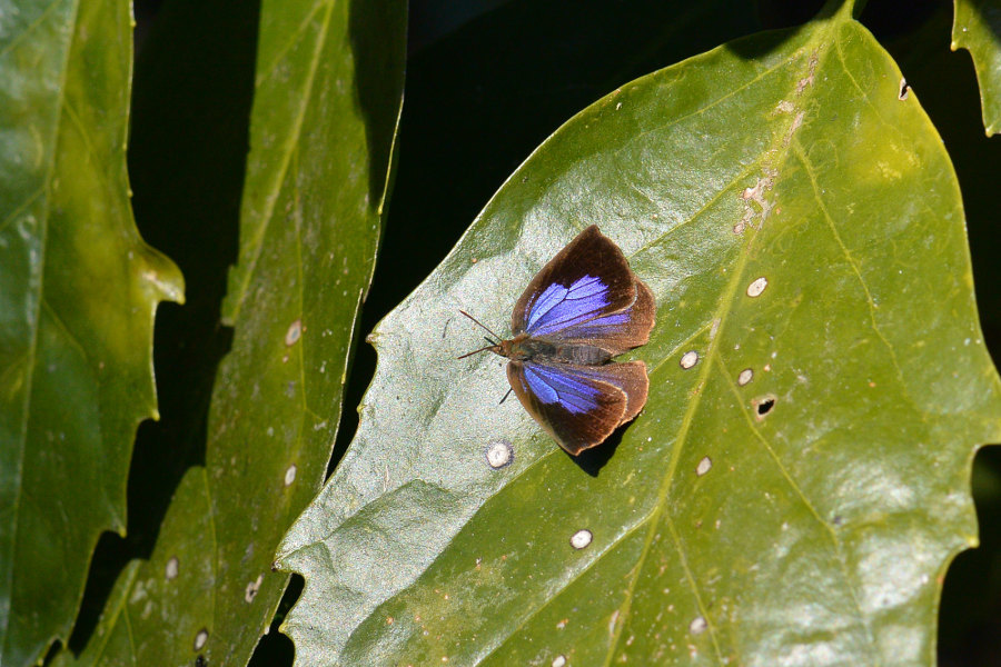 d0387460_00120536.jpg